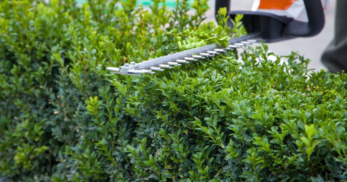 Small Tools Training