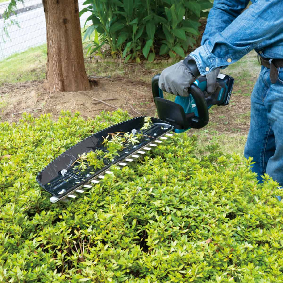 Hedge Trimmer Training